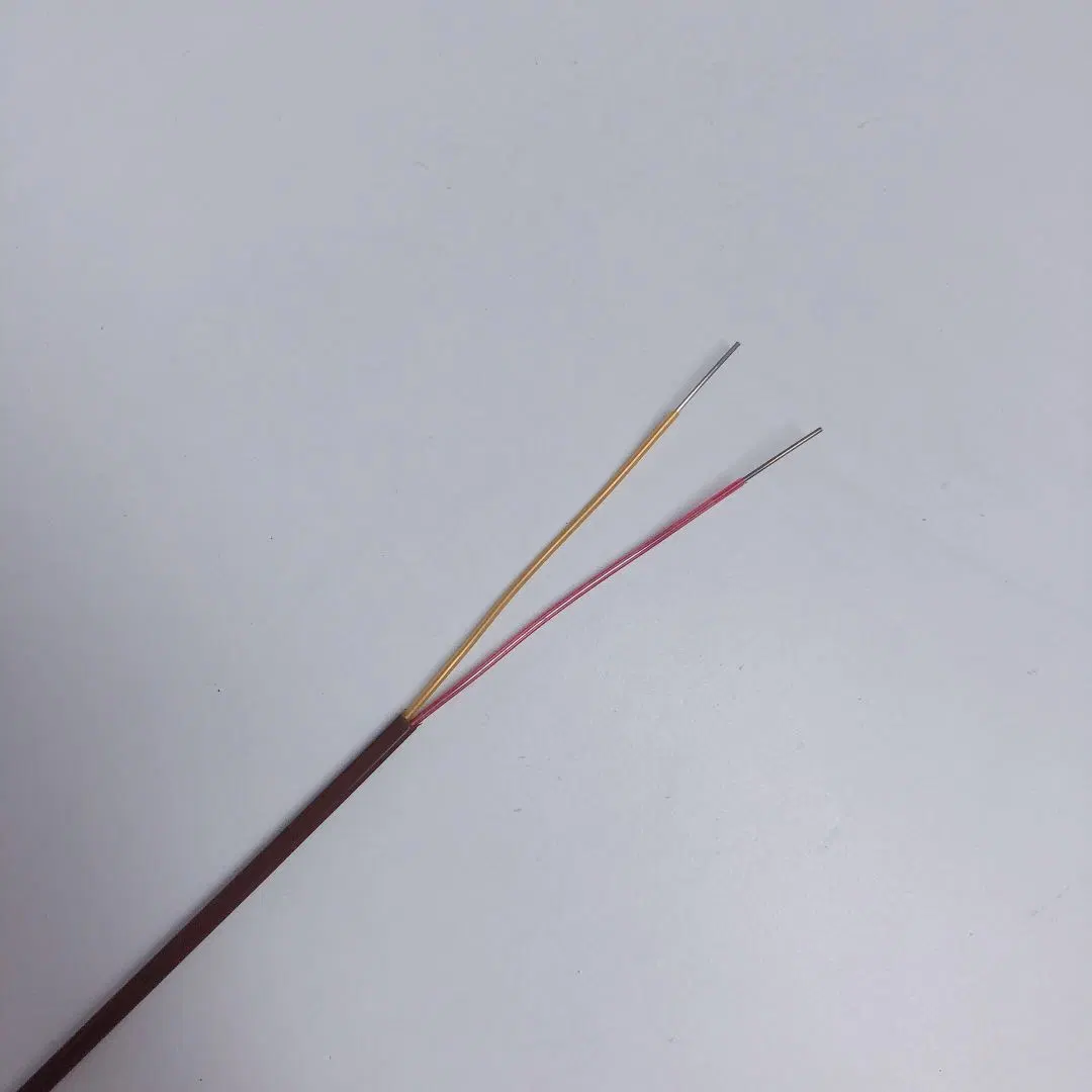 Micc High Temperature Thermocouple Cable Thermocouple Wire K-PFA/PFA-2*24AWG with Solid Wire