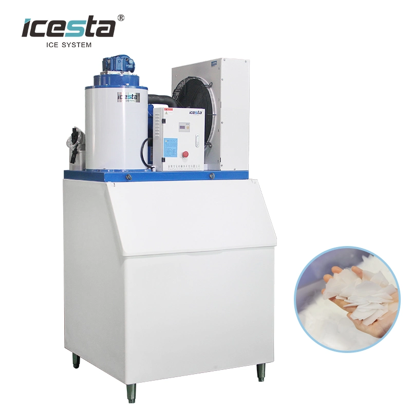 Beautiful Design 500kg 1ton Flake Ice Machine Plus Ice Storage Bin