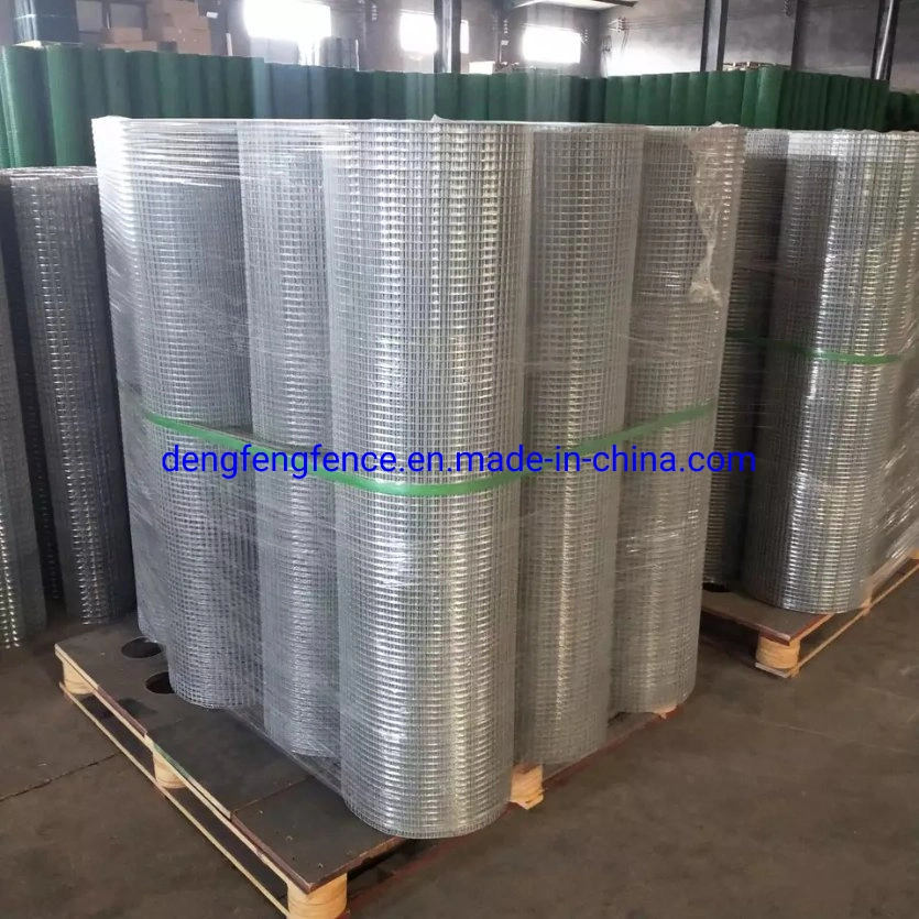 Wholesale/Supplier Cheap 1/4 Inch Welded Rabbit Cage Wire Mesh Price for Cage