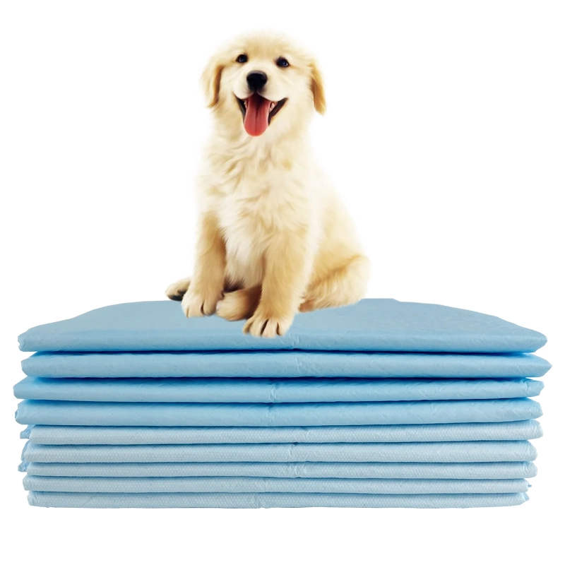 Hot Selling Durable Puppy Pad Leak Proof Absorbent Dog Puppy Training Pad with Stickers