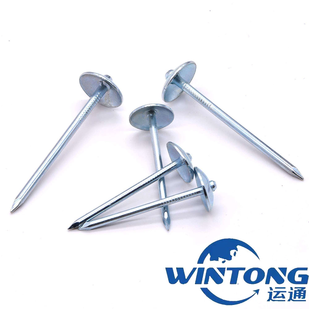 Wholesale Q235 Twisted Shank Galvanized Umbrella Head Roofing Nails