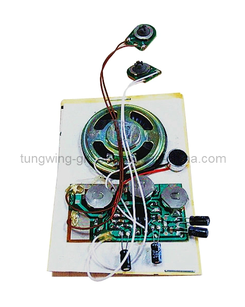 Recordable Sound Module for Greeting Card