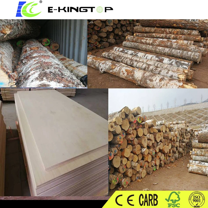 Birch Veneer Plywood Boards for Furniture, Thickness 18mm