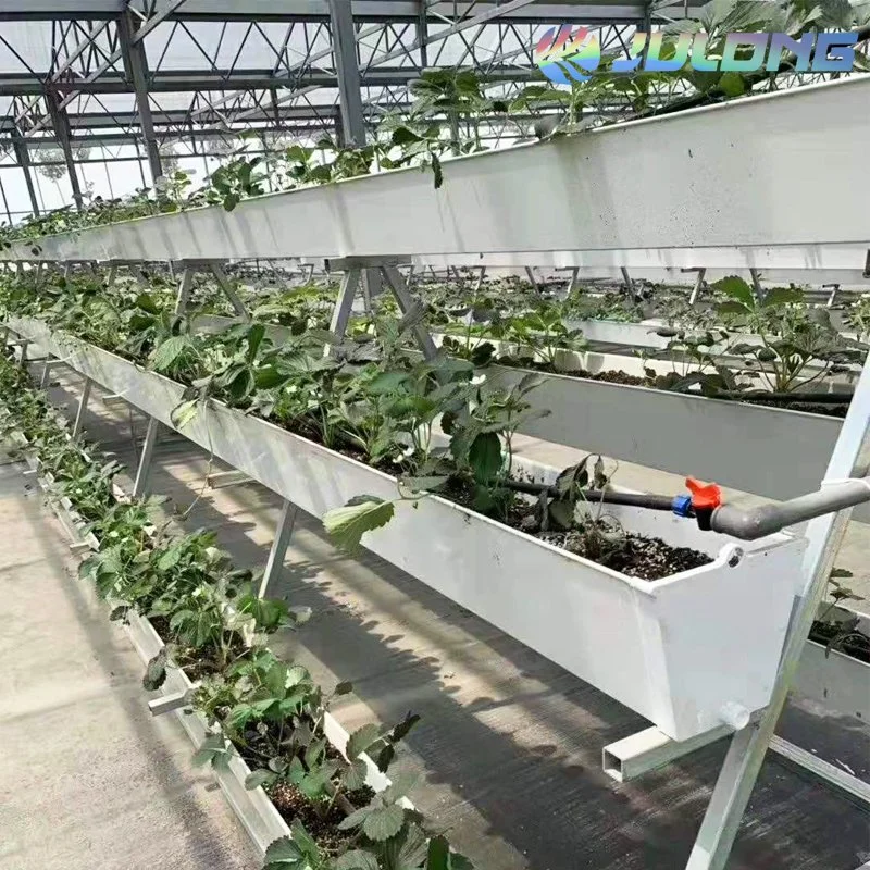 Armazón de aluminio tipo Venlo comercial de hortalizas de invernadero de vidrio para la Agricultura chacra jardín