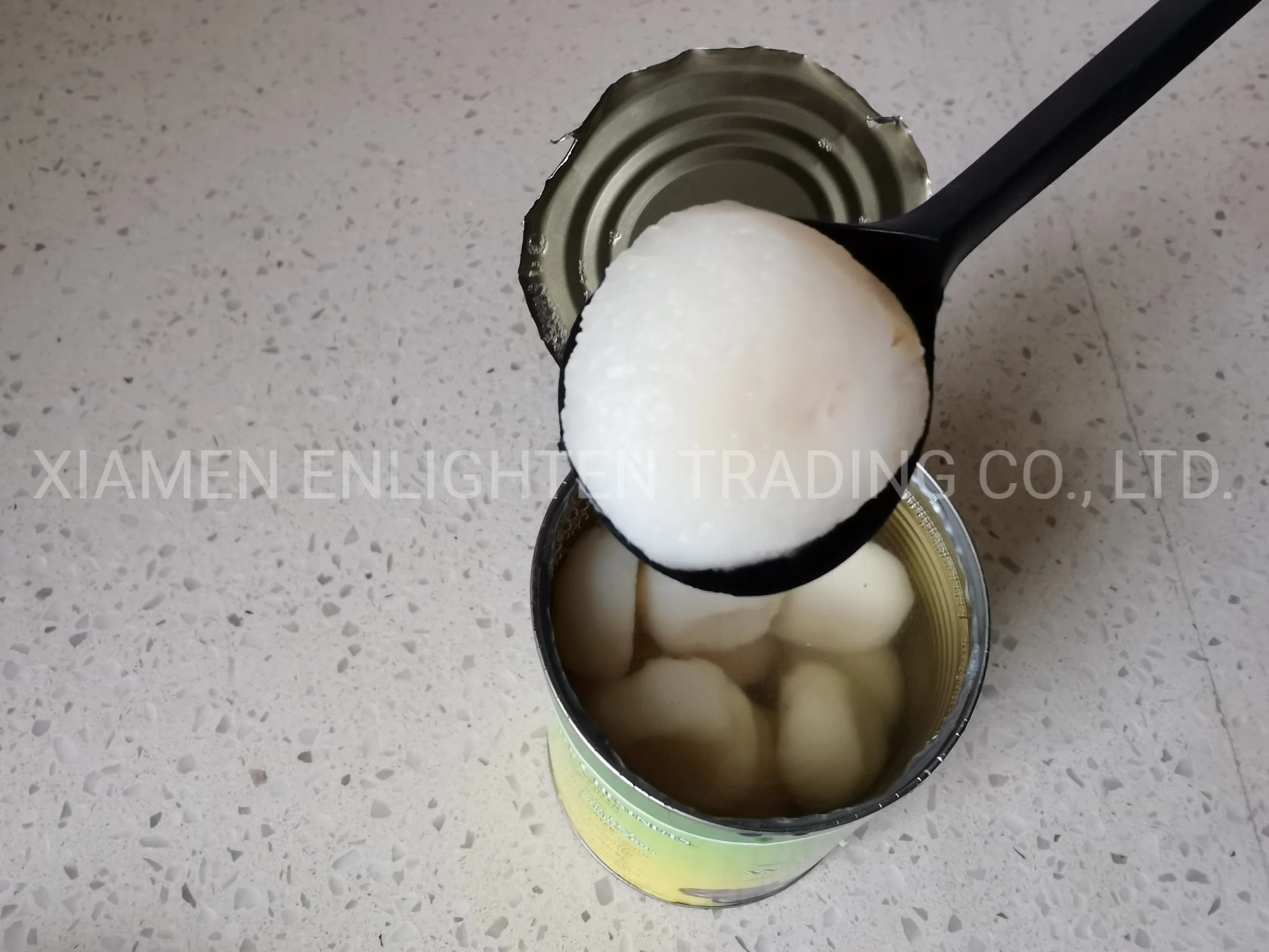 Canned Food Canned Whole/Sliced Water Chestnut in Water