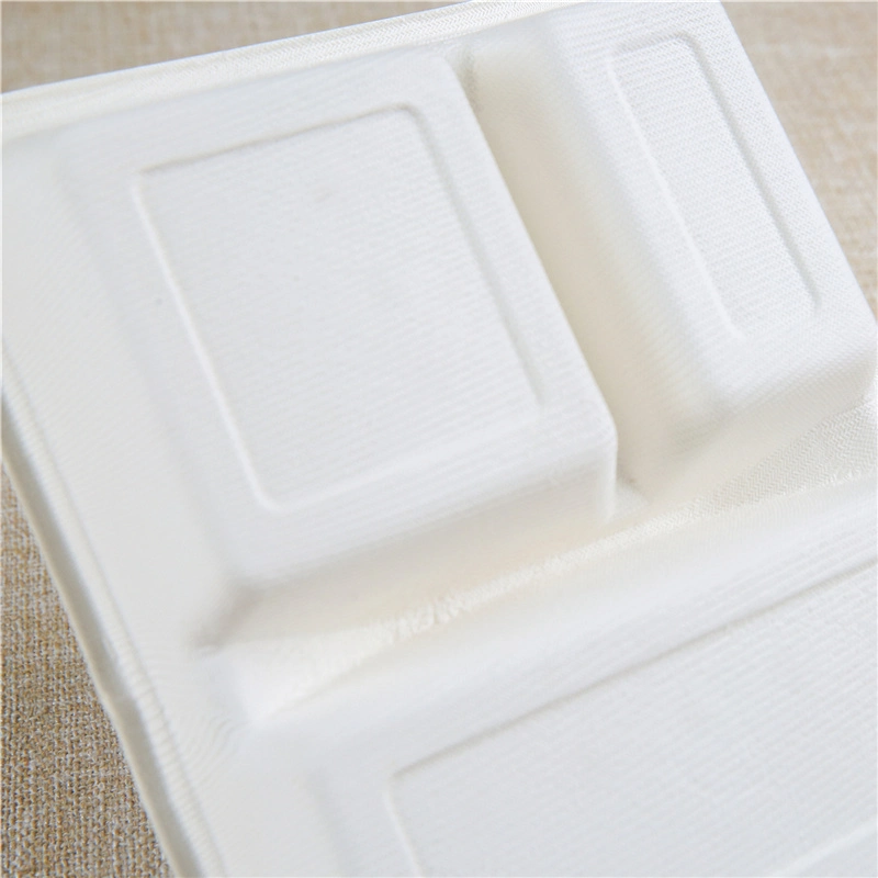 Sugar Cane Bagasse Pulp Molded Cup Packaging Sugarcane Tableware Pricelist Box