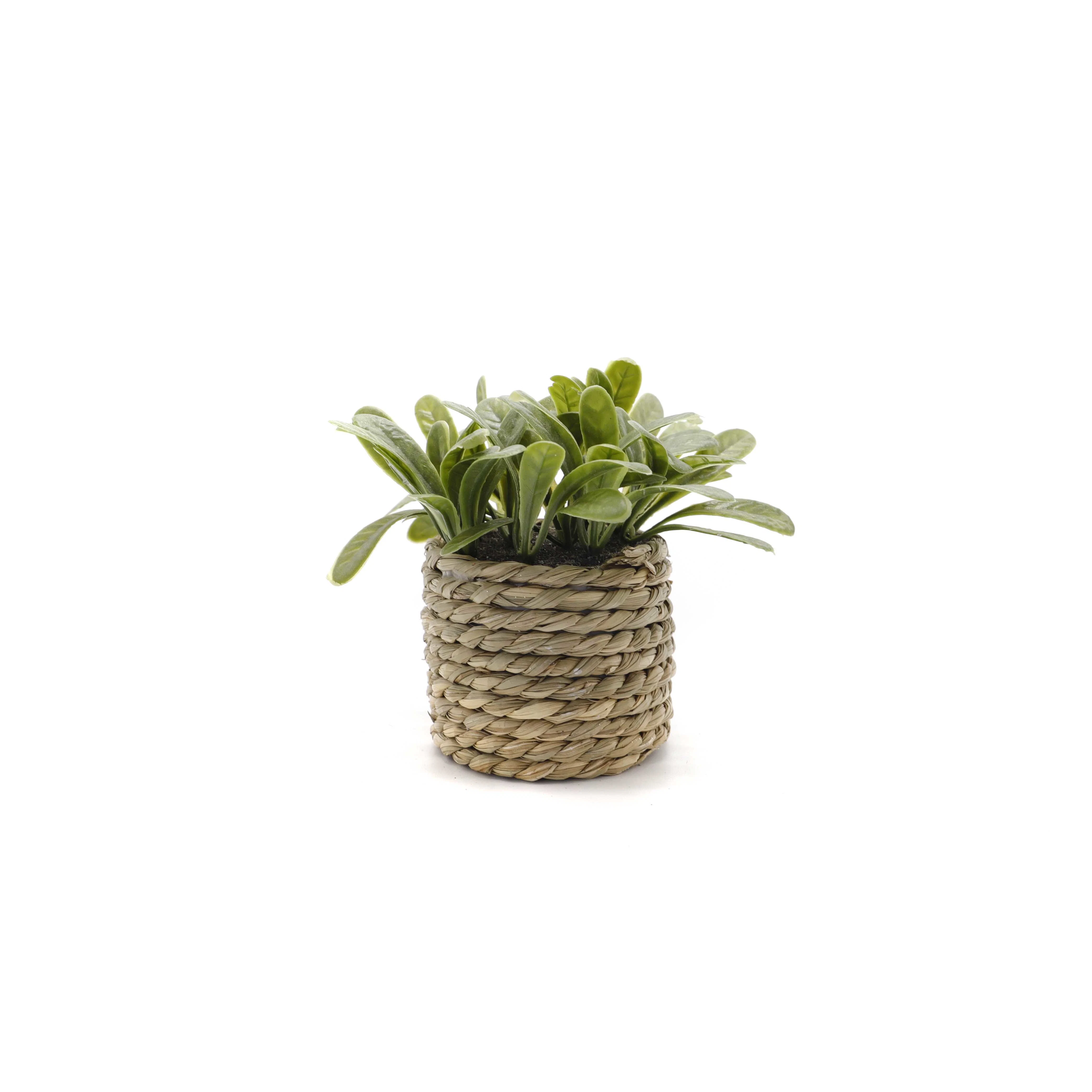 Planta Verde Artificial al por mayor Pot pequeño Grass Braid Rope pequeño Bonsai decoración exterior decoración interior buen aspecto pequeño pote