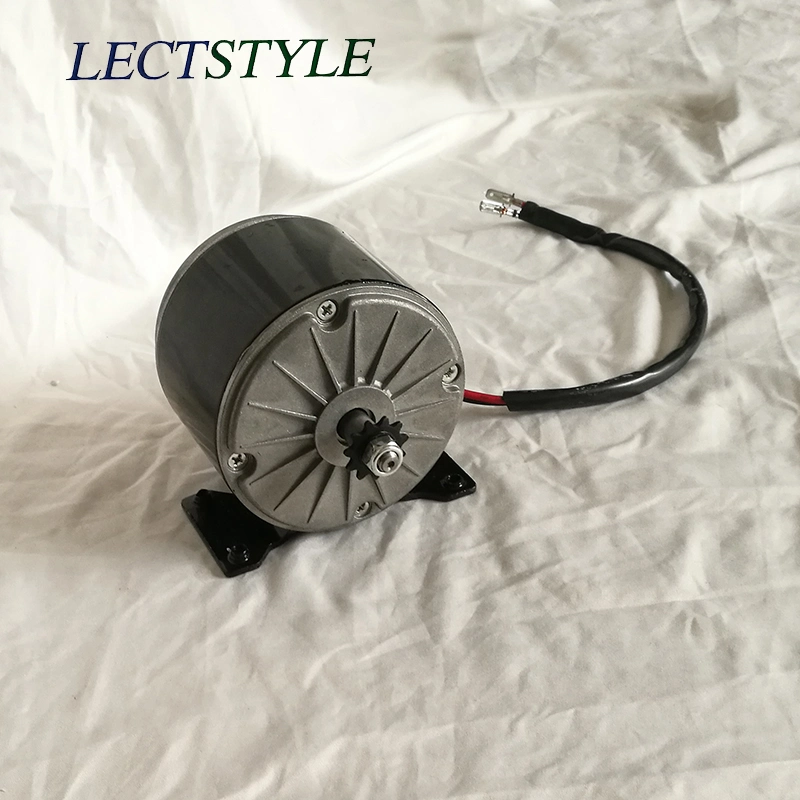 24V 250W Segway Electric Bicycle Gear Motor on Scooter