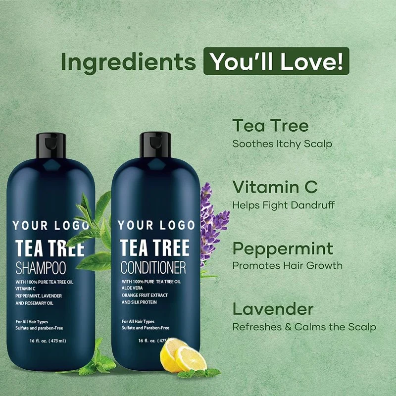 Comercio al por mayor 100% naturales Conjunto de acondicionador Shampoo anti caída del cabello con vitamina C, Control de aceite de menta de Árbol de Té de Aceite de Romero