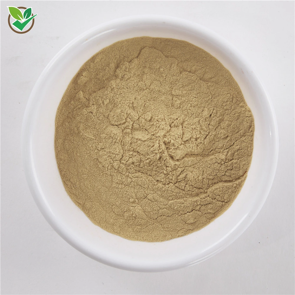 أصفر Maca root Extract Powder Pharmaceutical Supply Yellow Maca Root استخراج مسحوق