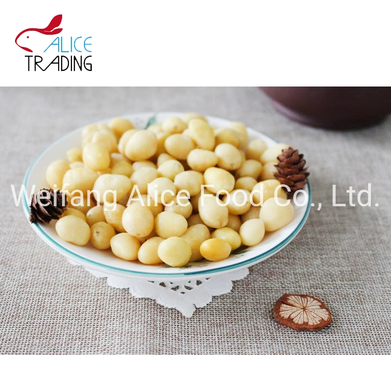 China Healthy Fruits Snack Supplier Export Standard Low Temperature Fried Vf Ginkgo