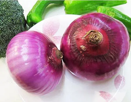 Red Onion Ginger Garlic Fruit Fresh Vegetables Onion with ISO HACCP Certification Mesh Bag 5kg 10kg Wholesale/Supplier