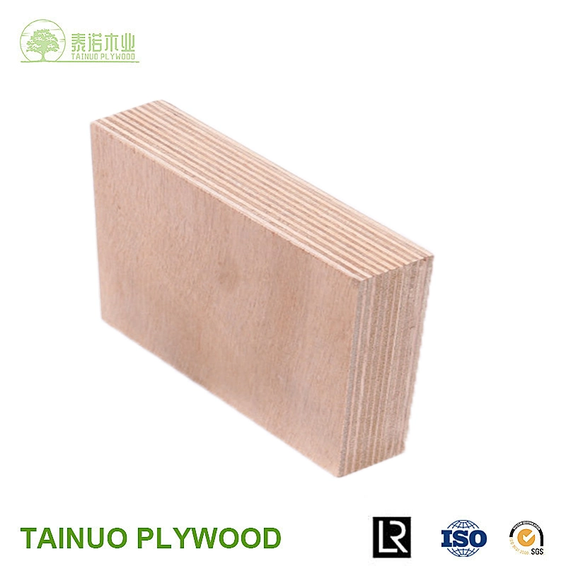 9mm Poplar Door Size Plywood for Furniture