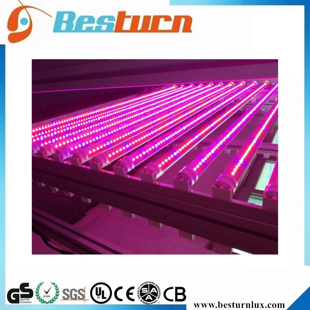 T8 18W espectro completo de la planta crezca el tubo de luz LED