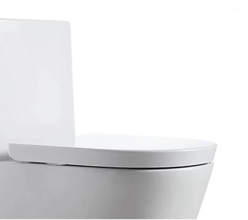 Chaozhou New Arrival Modern Products S Trap One Piece Shower Toilet