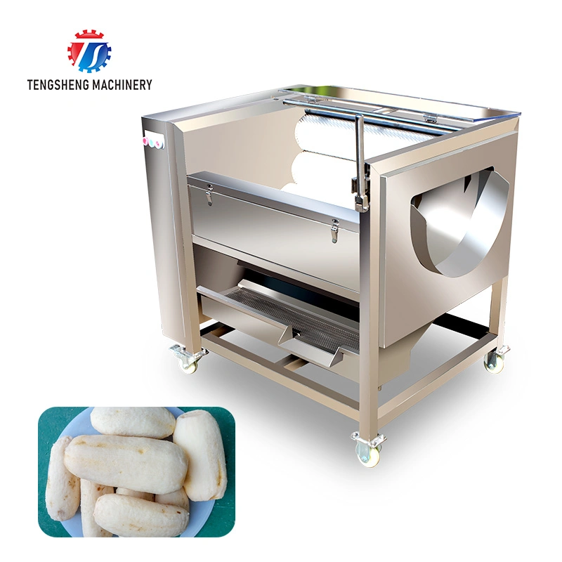 Sealed Closed Potato Carrot Hair Roller High Pressure Spray Cleaning Peeling Machine Ts-M300