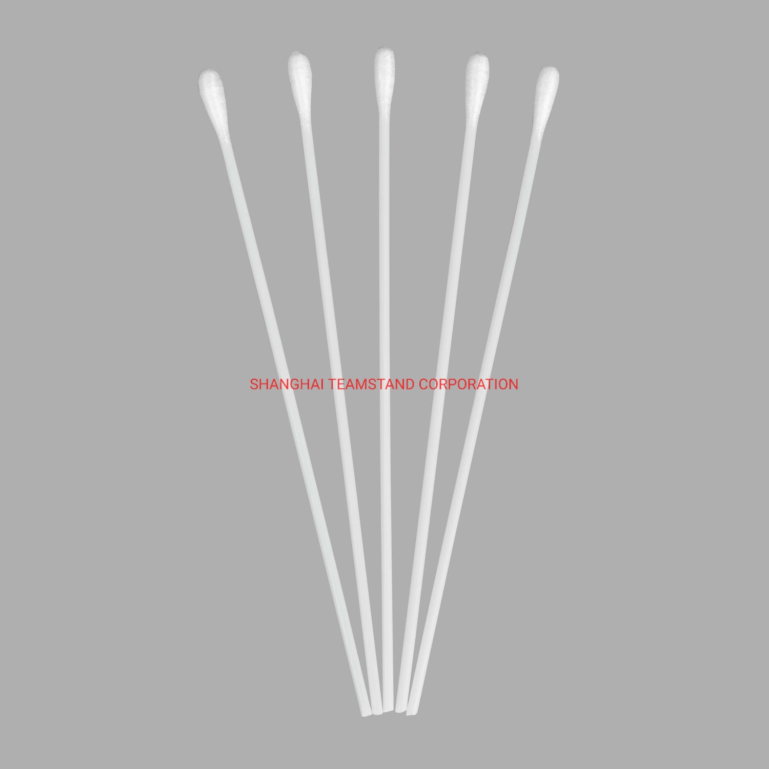 Disposable Nylon Flocked Swab for Virus Sample Collecting