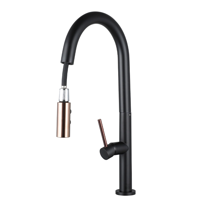 Brass Body Single Handle Pull-out Kitchen Faucet