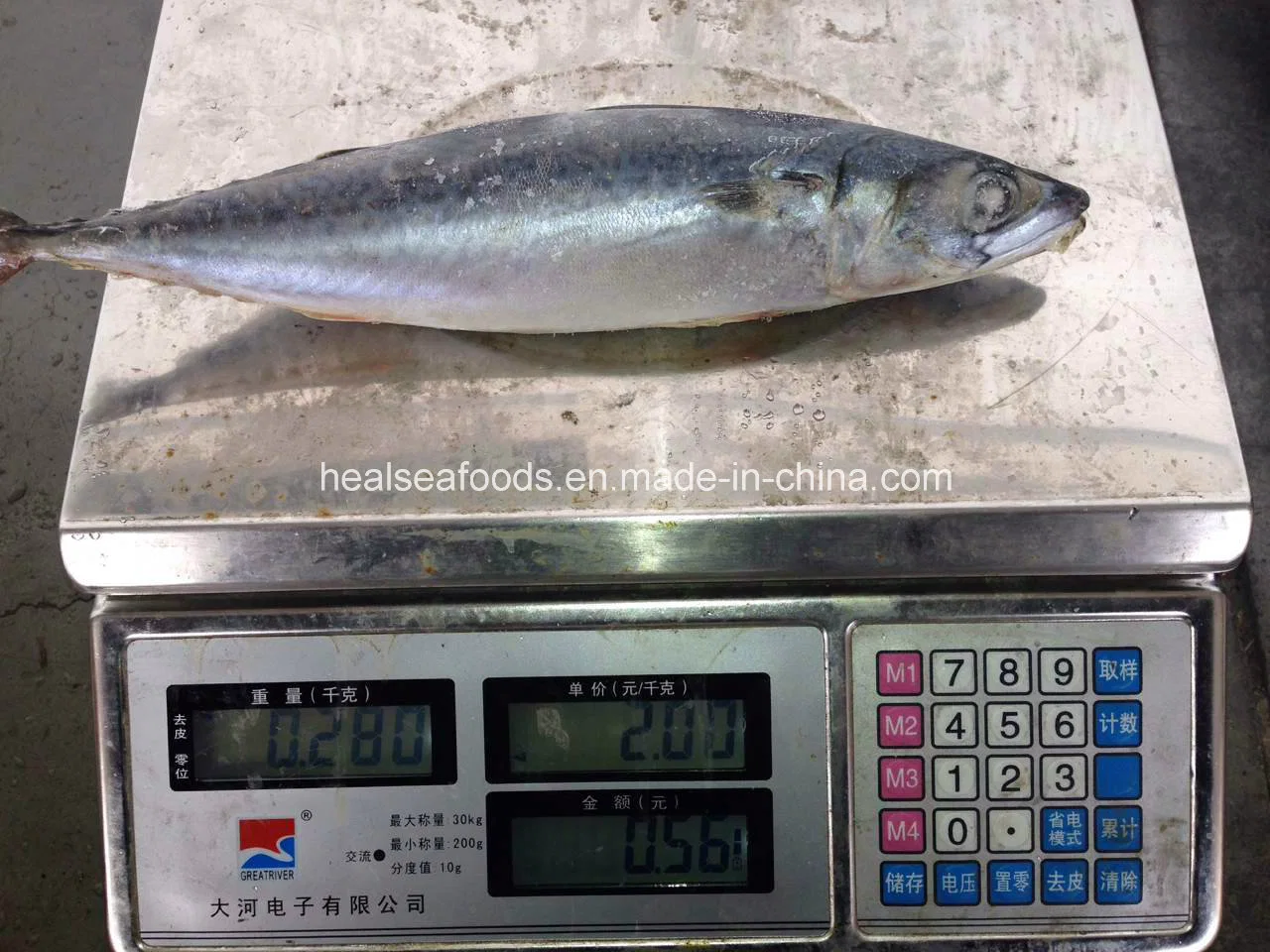 Best-Selling High Quality Canned Mackerel