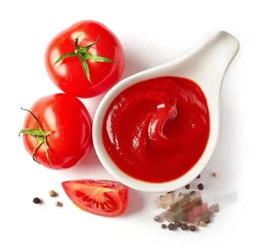 Producción de salsa China de tomate en conserva a una concentración del 22-24%