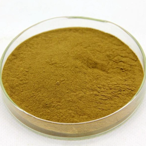 Auf Lager Factory Supply Motherwort Extract