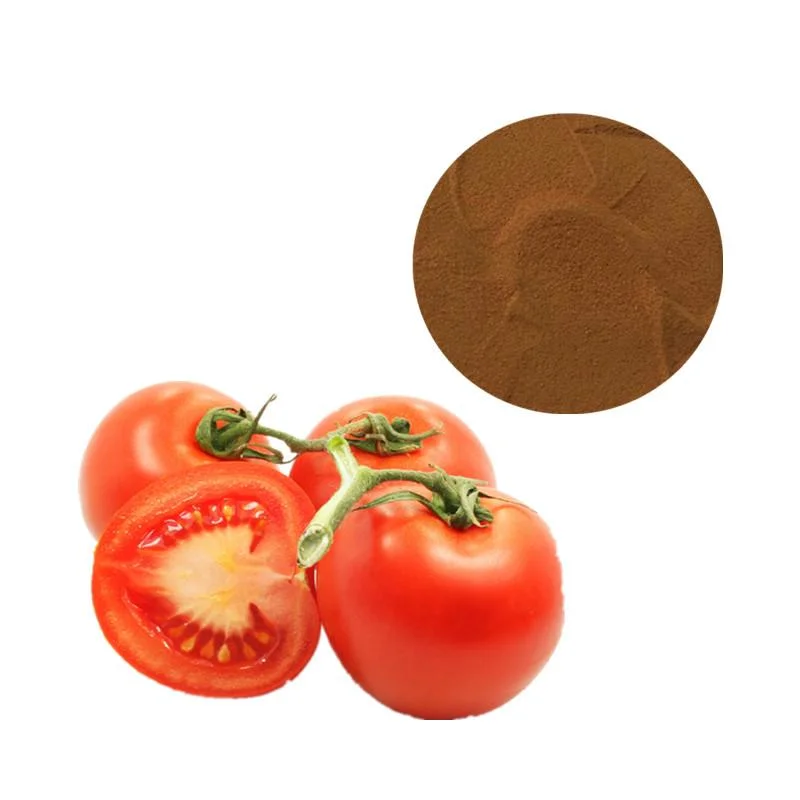 100% Natural Tomato Powder Tomato Juice Powder