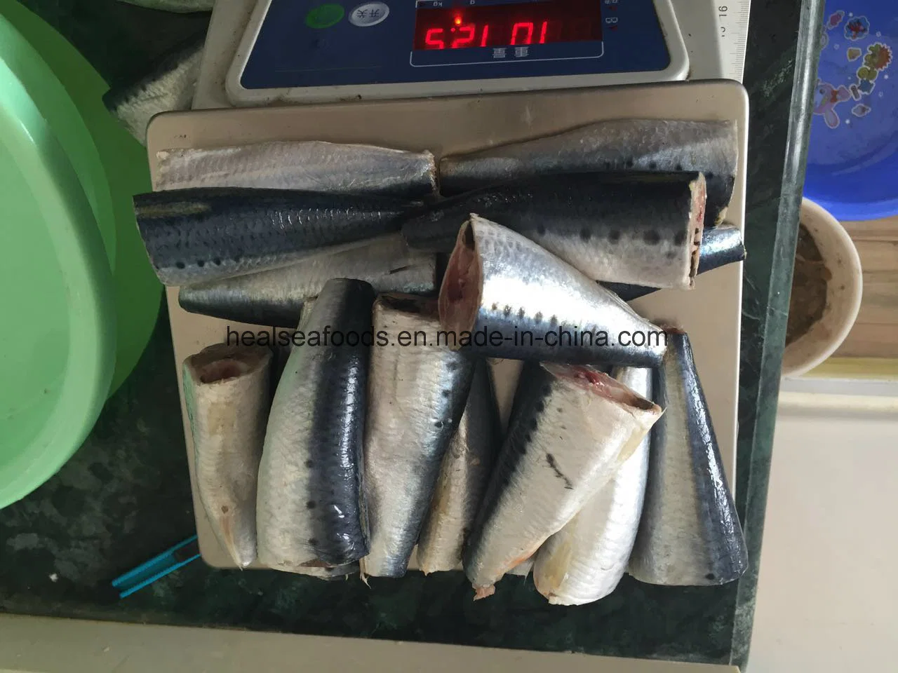 Frozen Hgt Sardines for Canned