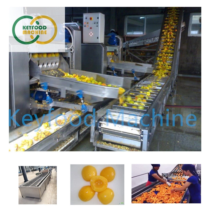 Ligne de remplissage automatique de pêches jaunes en conserve Machine de traitement de fruits de pomme orange