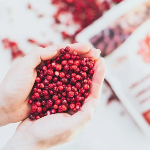 Gefriergetrocknete Liningonberry, Fd Liningonberry, Beeren Aus China