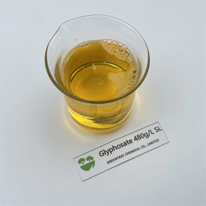 CAS No. 38641-94-0 Agrochemical Product Herbicide Glyphosate-Isopropylammonium Glyphosate 480g/L SL Chinese Supplier