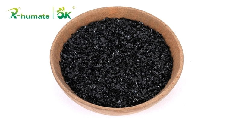 X-Humate Algae Seaweed Extract Flake/Powder Organic Fertilizer