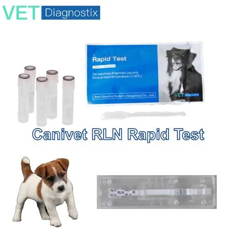 PET RLN diagnostic Kit Canine grossesse Relaxin Test rapide