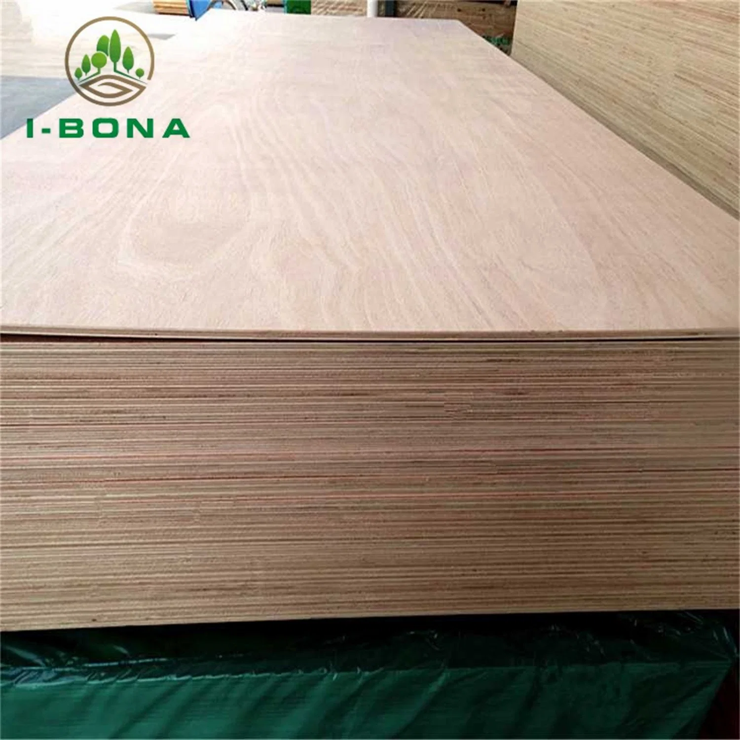 Quadro de móveis E1 de 18 mm Customed Poplar Birch Pine Dark Oak Contraplacado contraplacado Timber Melamine laminado contraplacado