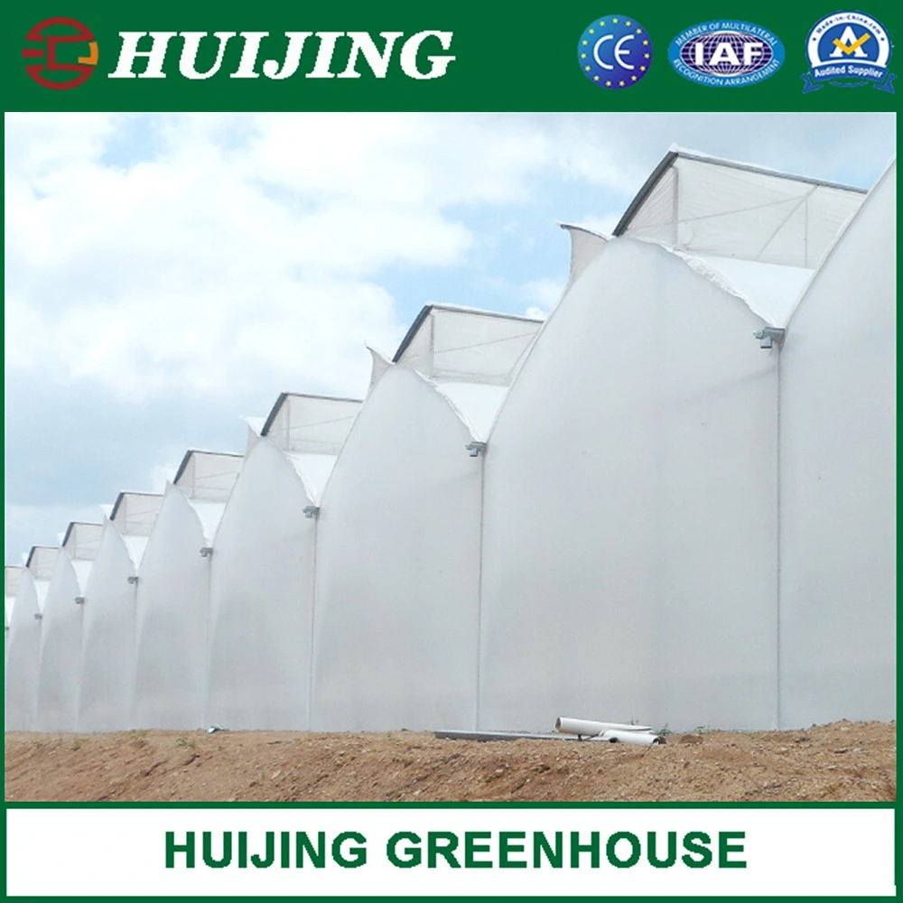 Agriculture Farming Multi-Span Tunnel Plastic Film Greenhouse for Vegetables/Flowers/Tomato/Garden