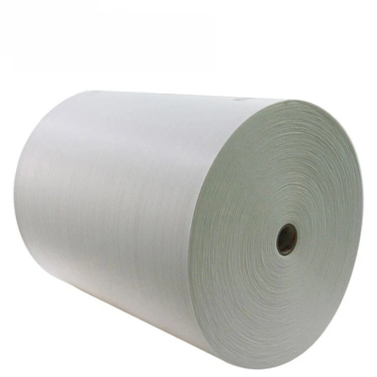 Hydrohilic or Waterproof Pet Spunbond Nonwoven Fabric