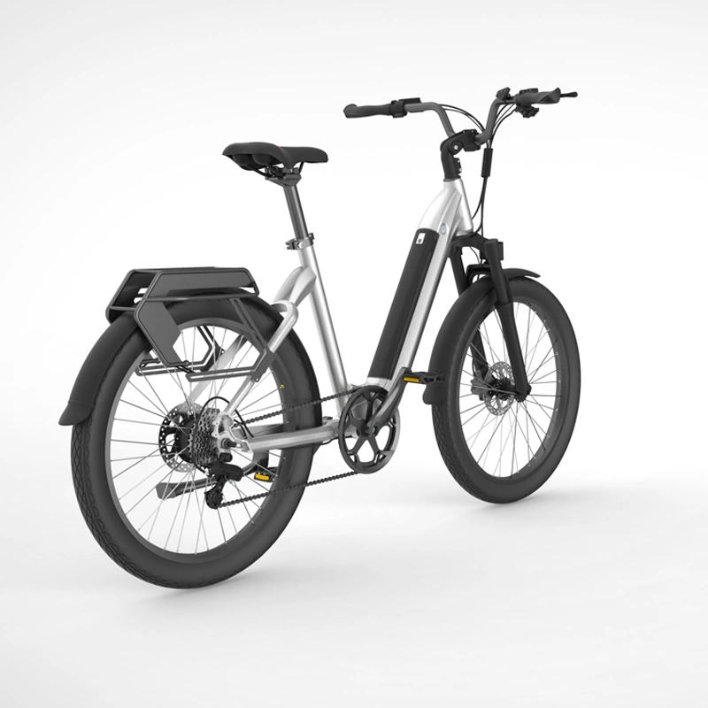 China OEM 26inch Step Through Electric Bicycle