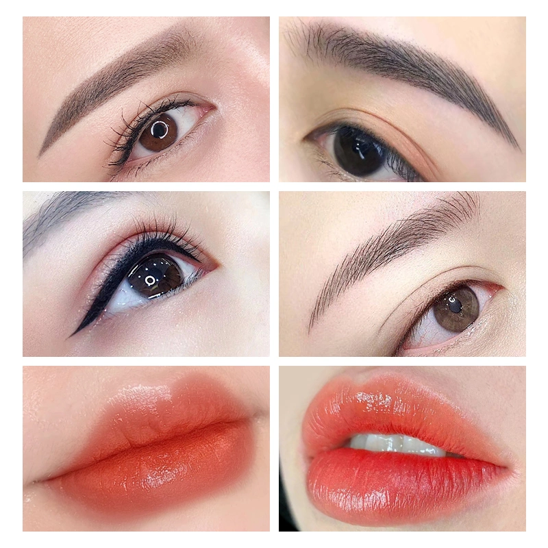 Permanent Makeup Color Pigment Microblading Tattoo Supply