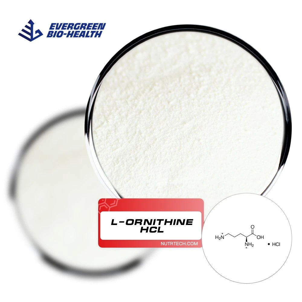 L-Ornithine Hydrochloride Nutritional Supplements L-Ornithine HCl with Low Price