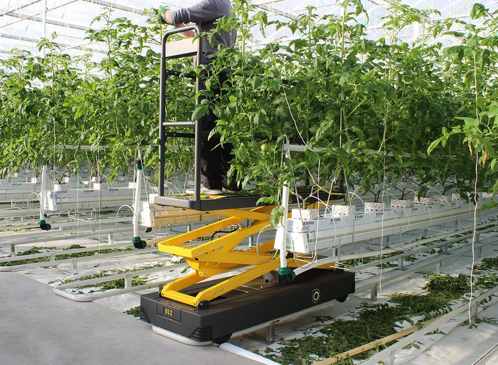 Styles of Greenhouse Specialized Scissor Color/Trolley