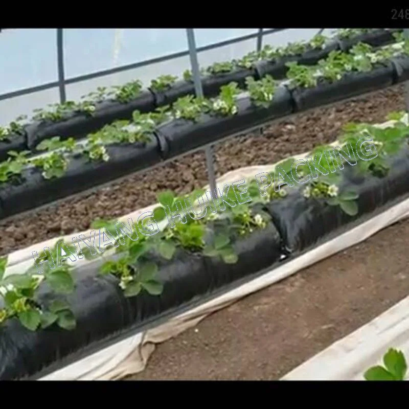 Les nouveaux arrivants estiment sacs de plantes des pots de tissu croître sacs conteneurs croissante de fraise