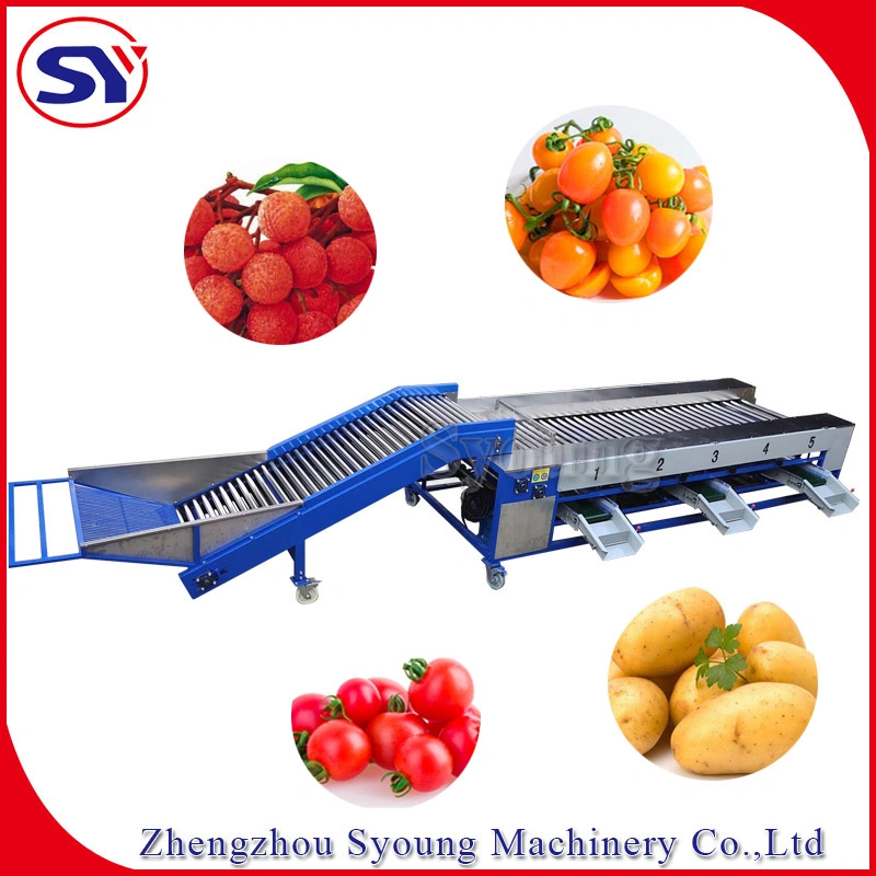 Soft Fresh Fruit Sorting Grading Machine Sizing by Diameter