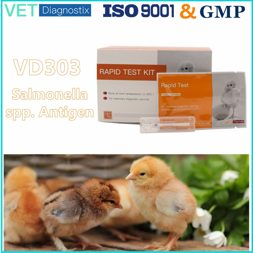 Salmonella Test Kit Poultry Salmonella Spp. Antigen Rapid Diagnostic Test Kit