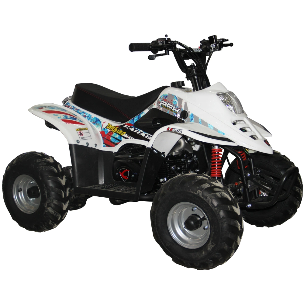 Mini ATV 90cc Quad Bike