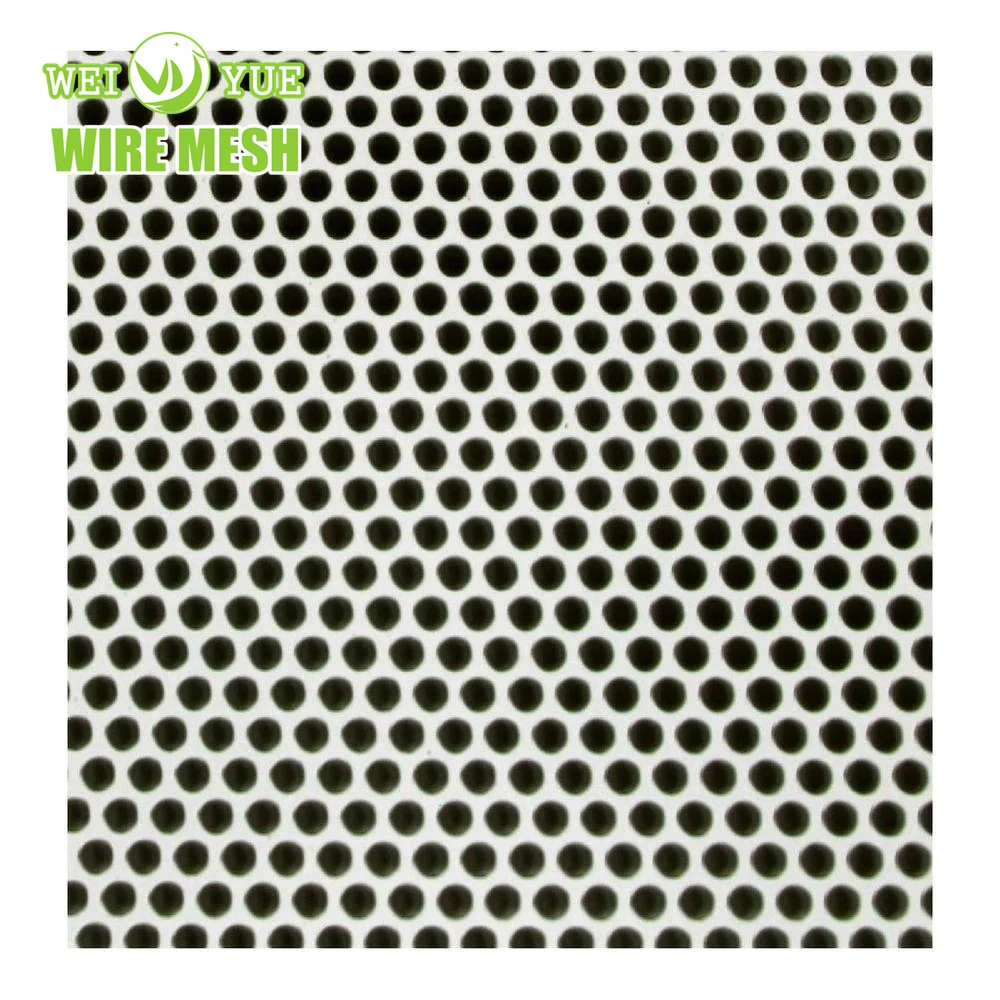 Hot-Dipped Galvanized Decorative Perforated Sheet Metal for Wall Panels Ceilings