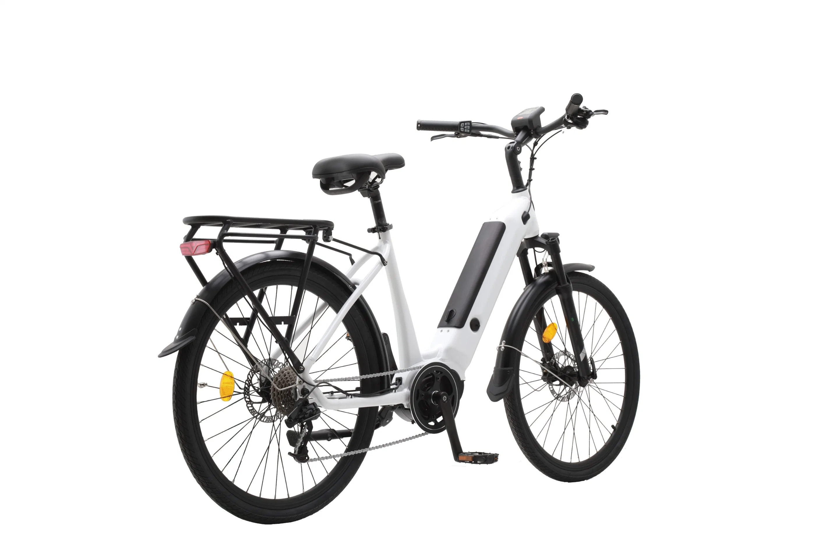 Ep 01f Middle Drive Electric Bike for Sale