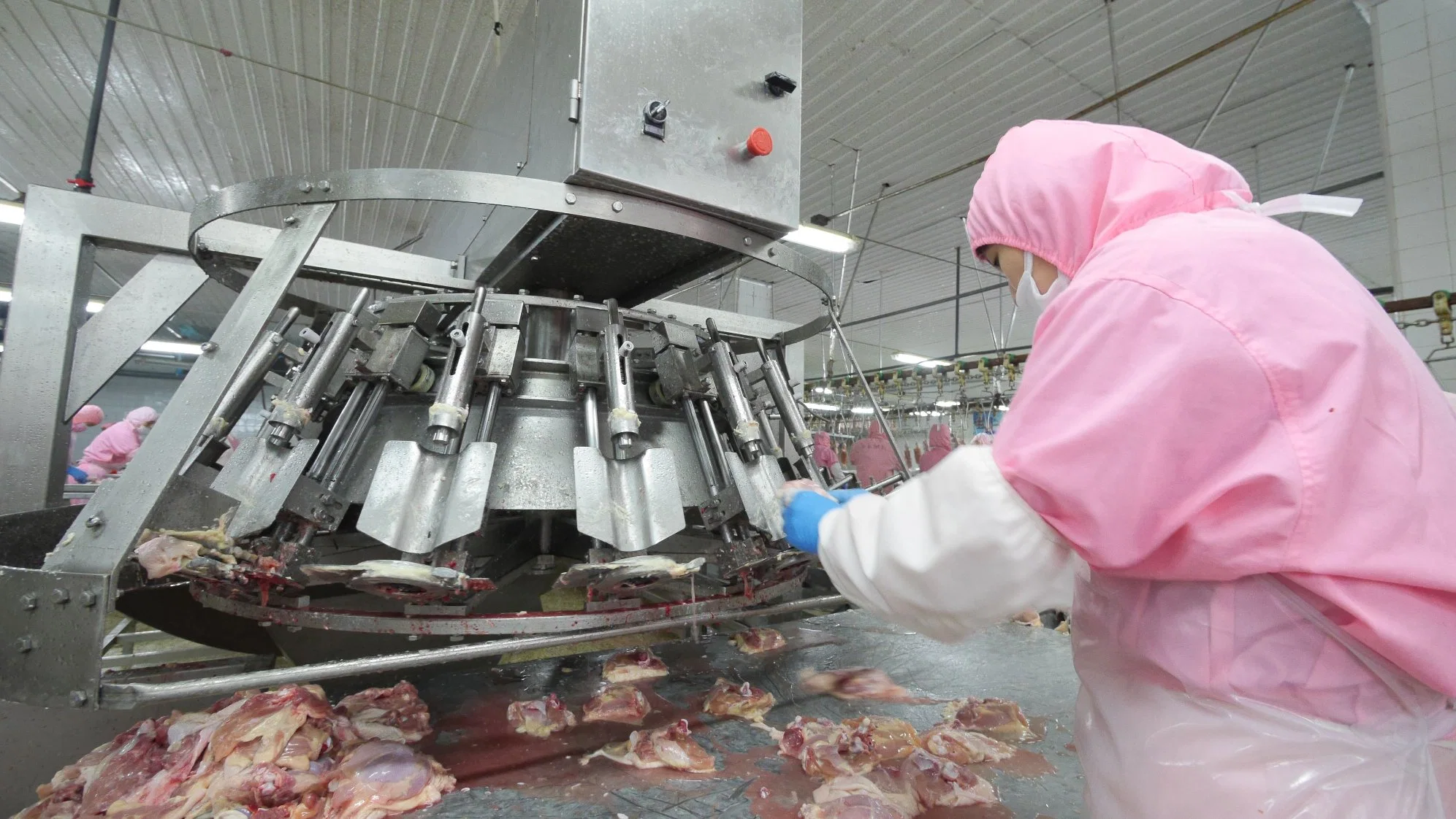 Automatic Abattoir Chicken Thigh Debone Machine