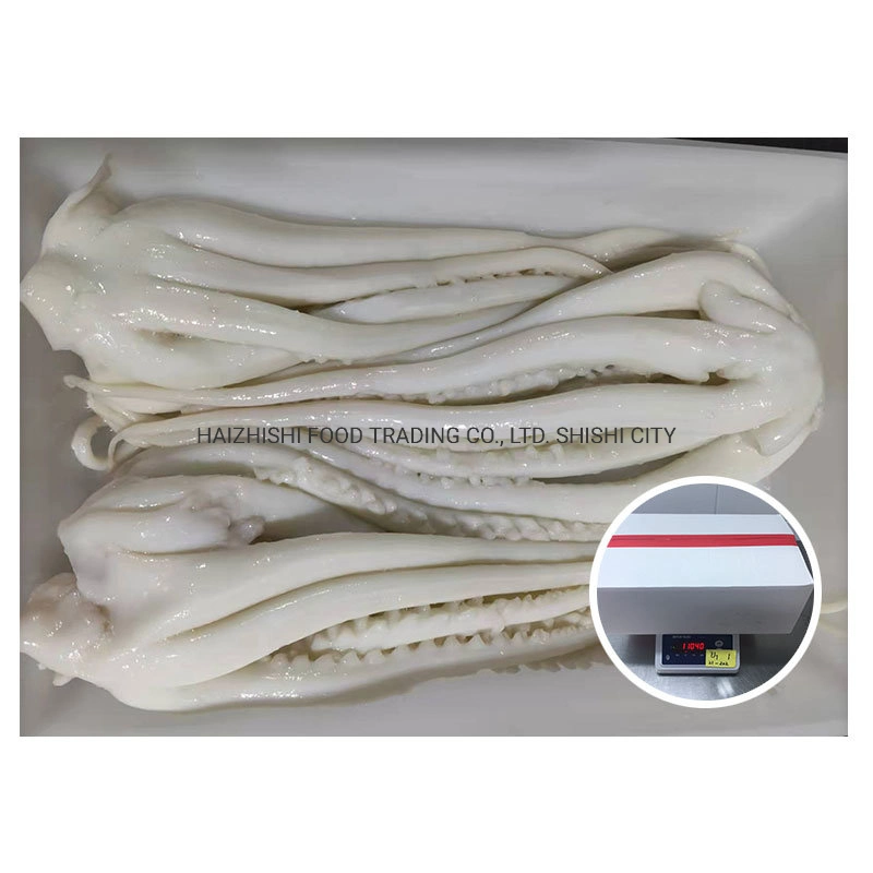 Hot Sell Seafood Good Quality Skin off Indian Ocean Squid Tentacle