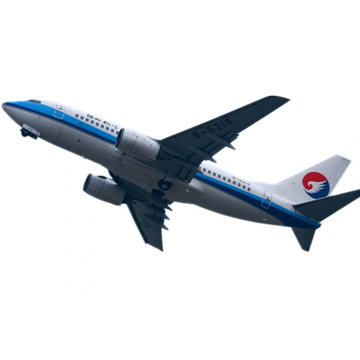 Air Cargo Shipping From China to Canada/Singapore/Malaysia/Thailand/Indonesia/ Vietnam Amazon Fba Air Freight DDP Sea