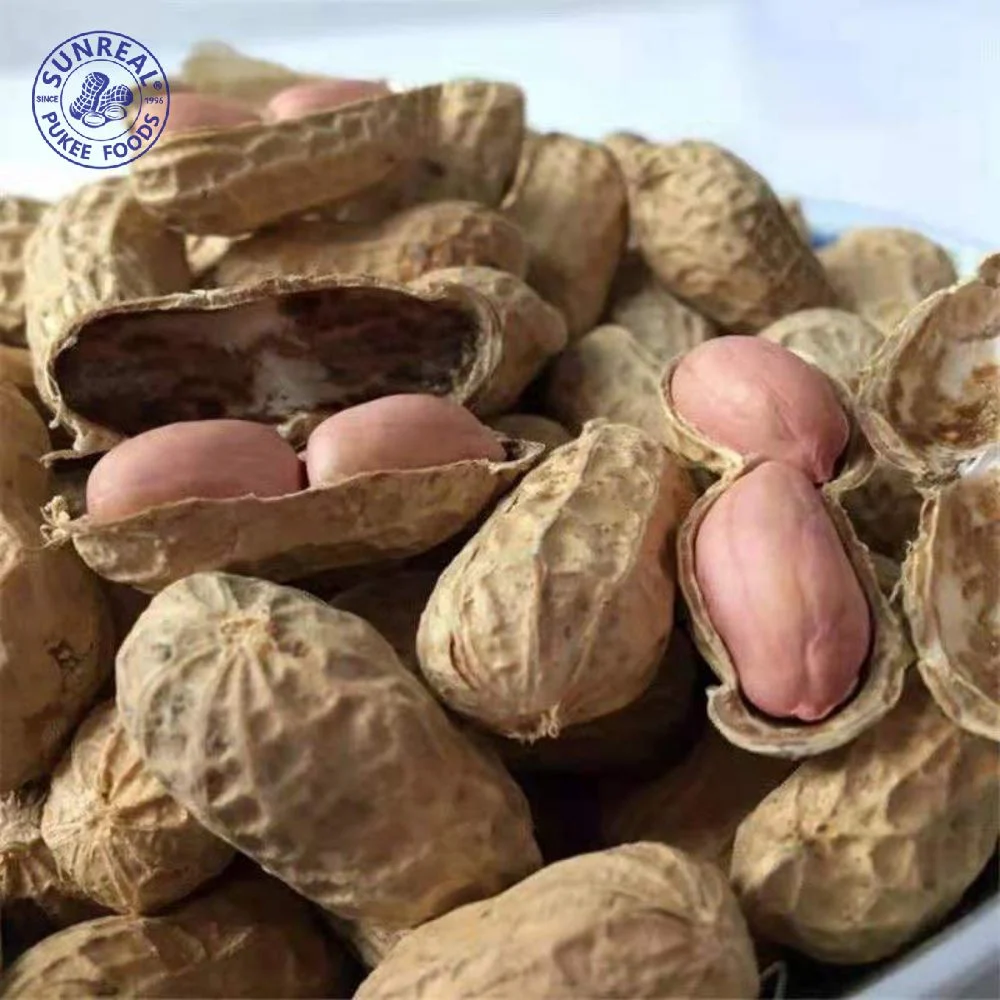 Raw Peanut Inshell /China /New Crop 9/11