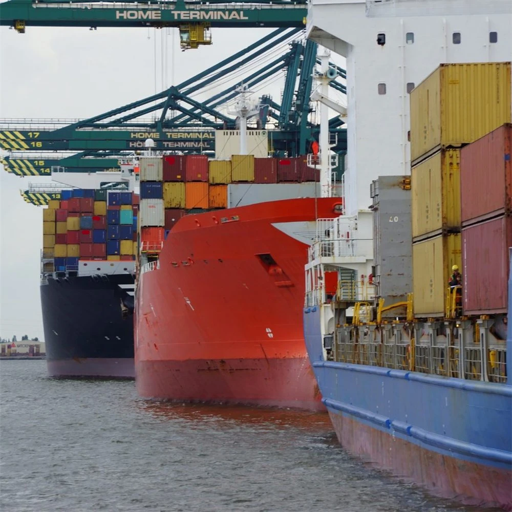 China to USA Ocean LCL Cargo Ship China Shipping to Germany Saudi Arabia Canada Australia Sea Shipping